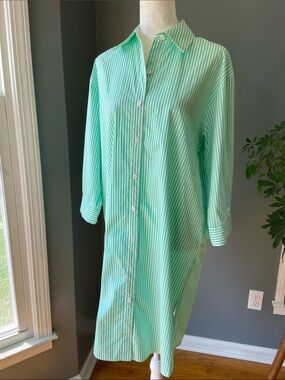 The Burgess Collection “The Striped Oxford Dress” Green & White Size X Small